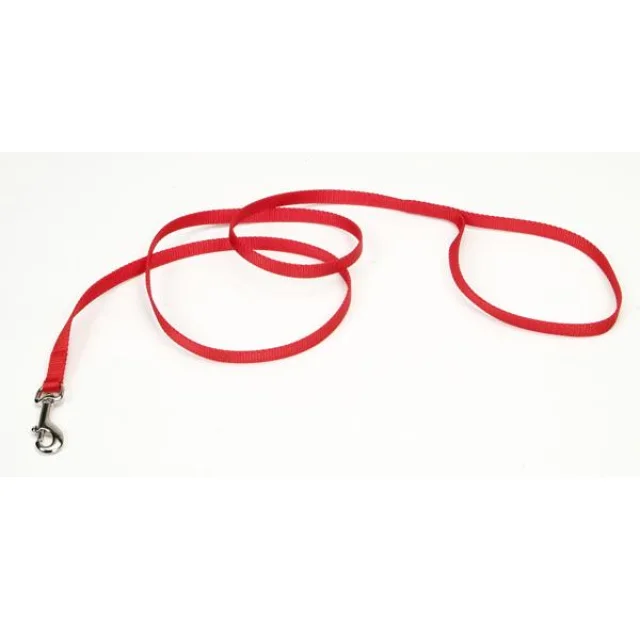 Поводок Coastal Nylon для собак, оранжевый, 1×1.2 м