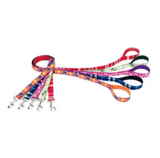 Повідець Coastal Pet Attire Weave для собак, ромашка, 1×1.2 м