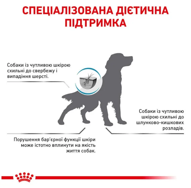 Сухой корм Royal Canin Skin Support при дерматозах и выпадении шерсти у собак, 7 кг