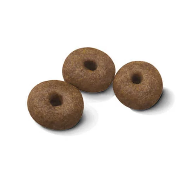 Сухий корм Royal Canin Giant Starter для годуючих собак гігантських порід, 15 кг