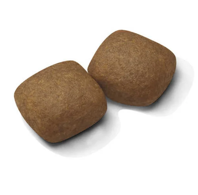 Сухий корм Royal Canin Giant Junior Active для цуценят гігантських порід з високими енергетичними потребами, 15 кг