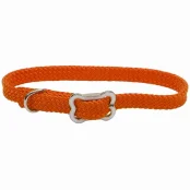 Нейлоновий нашийник Coastal Sunburst для собак, зелений, 1×30 см