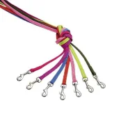 Нейлоновий нашийник Coastal Sunburst для собак, зелений, 1 см×1.8 м