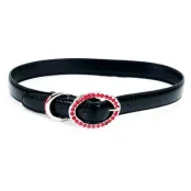 Нашийник Coastal TOO! Jazzy Jewel для собак, чорний, 2×55 см