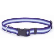 Нашийник Coastal Trendz Graduated для собак, пурпурний, 1×30 см