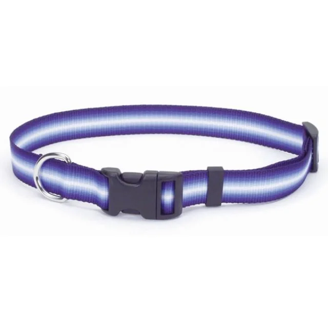 Нашийник Coastal Trendz Graduated для собак, пурпурний, 2.5×70 см