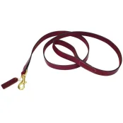 Шкіряний поводок Coastal Circle-T для собак, мідь, коричневий, 2.5×1.8 м