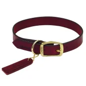 Нашийник Coastal Circle-T Latigo Town для собак, мідь, коричневий, 2.5×50 см