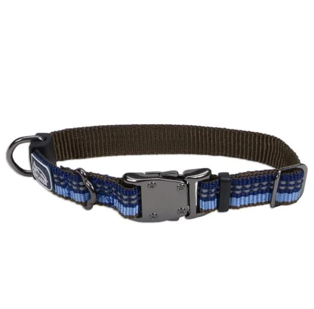 Нейлоновий нашийник Coastal K9 Explorer для собак, синій, 1.6×20-30 см