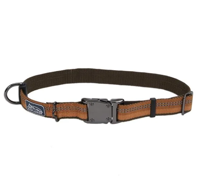 Нейлоновий нашийник Coastal K9 Explorer для собак, помаранчевий, 2.5×45-65 см
