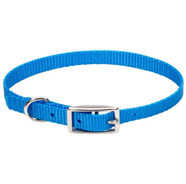 Нашийник Coastal Nylon Web для собак, блакитний, 1×25 см
