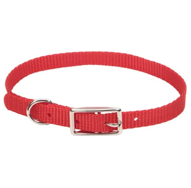 Нашийник Coastal Nylon Web для собак, червоний, 1×30 см