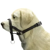 Дресирувальний поводок Pet Pro Дог контроль для собак, чорна, розмір XXL