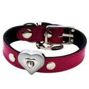Нашийник Shiboo Heart-to-Heart Clear для собак, рожевий, 25 см/1.5 см