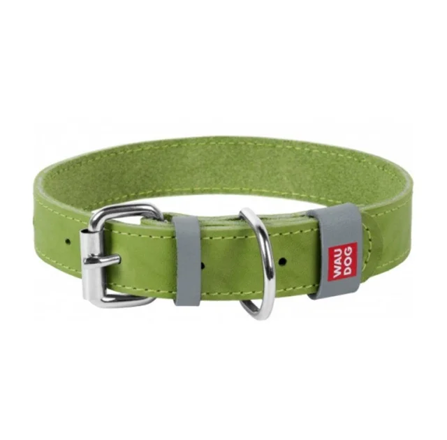 Ошейник Waudog Classic, кожа, металлическая пряжка, ширина 15 мм, длина 27-36 см, салатовый