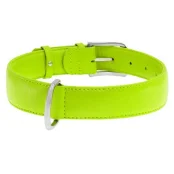 Ошейник Waudog Glamour без украшений, ширина 35 мм, длина 46-60 см, салатовый