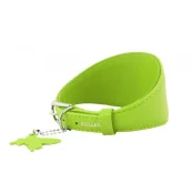 Ошейник Waudog Glamour для борзых, без украшения, ширина 15 мм, длина 26-32 см, салатовый