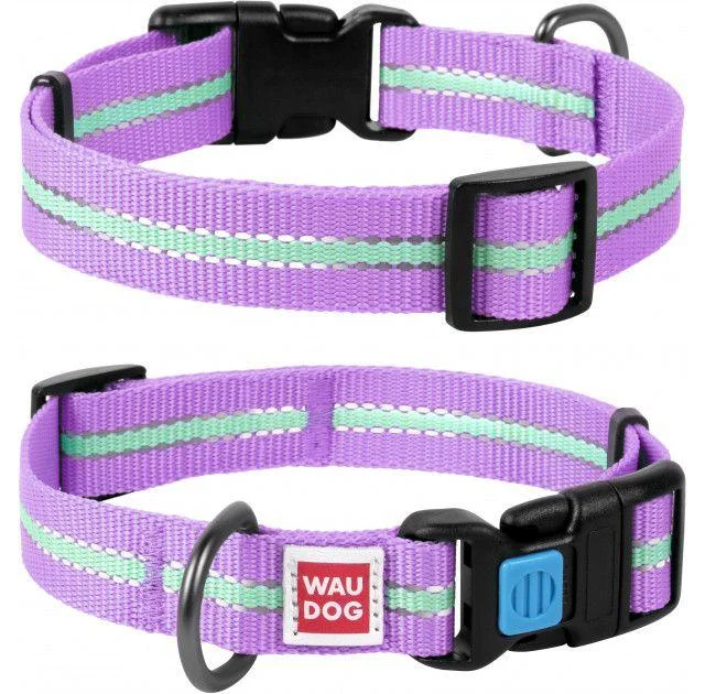 Ошейник Waudog Nylon светонакопительный, ширина 20 мм, длина 24-40 см, фиолетовый