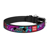 Нашийник Waudog з малюнком "Літо" ширина 15 мм, довжина 27-36 см, чорний