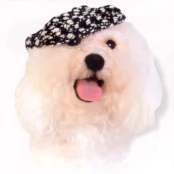 Кепка Doggyduds Chunky Boucle для собак, размер L, черная