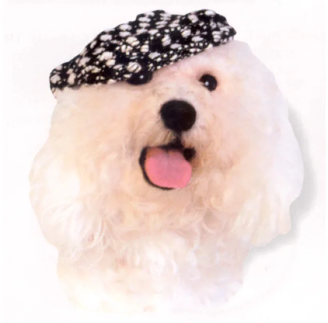 Кепка Doggyduds Chunky Boucle для собак, розмір M, чорна