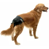 Подгузники Savic Comfort Nappy Т2 для собак, 34-44 см, 12 шт