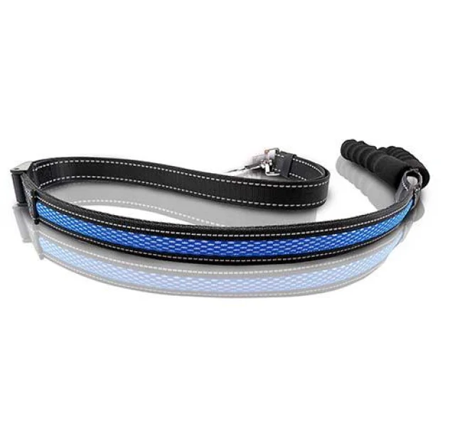 Поводок регулируемый LED AnimAll 2,5/120-150 см, синий