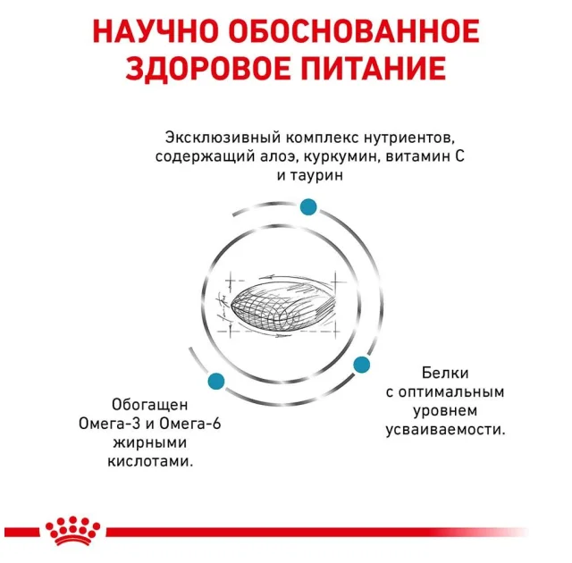 Сухой корм Royal Canin Skin Support при дерматозах и выпадении шерсти у собак, 2 кг