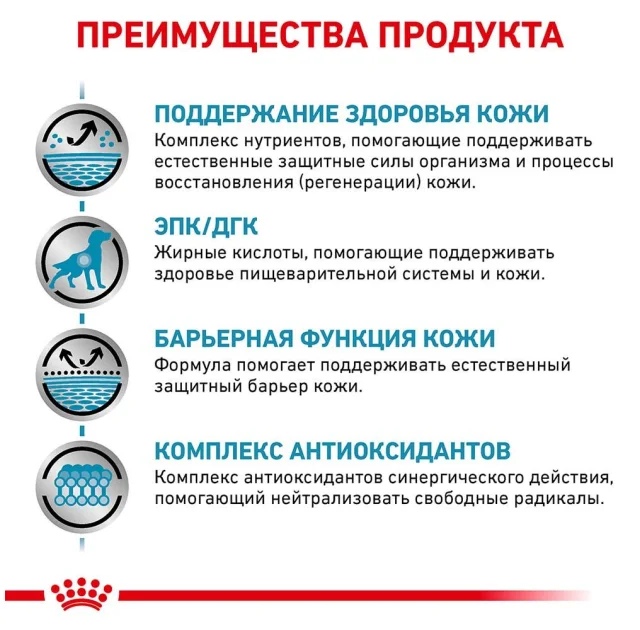 Сухой корм Royal Canin Skin Support при дерматозах и выпадении шерсти у собак, 2 кг