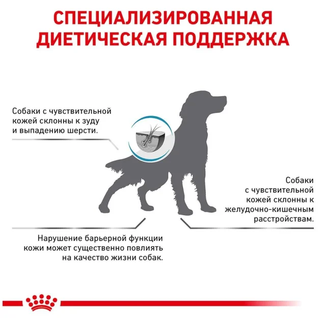 Сухой корм Royal Canin Skin Support при дерматозах и выпадении шерсти у собак, 2 кг