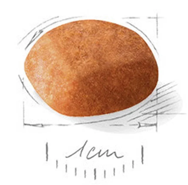 Сухой корм Royal Canin Golden Retriever Puppy для щенка золотистого ретривера, 3 кг