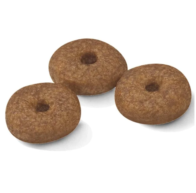 Сухий корм Royal Canin Mini Ageing 12+ для собак дрібних порід старше 12 років, 1.5 кг