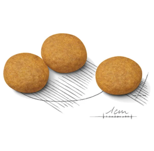 Сухой корм Royal Canin Medium Dermacomfort для собак средних пород с чувствительной кожей, 3 кг