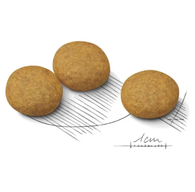 Сухой корм Royal Canin Medium Dermacomfort для собак средних пород с чувствительной кожей, 10 кг