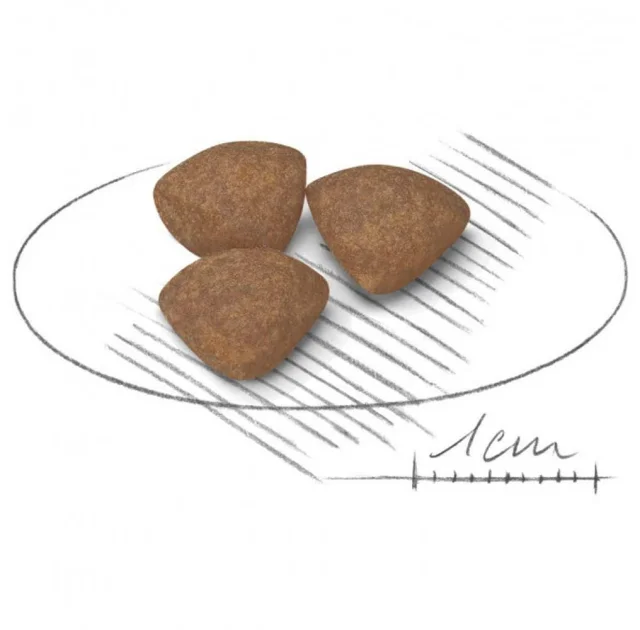 Промо набір Сухий корм Royal Canin Mini Puppy для цуценят дрібних порід, 2 кг + іграшка для собак