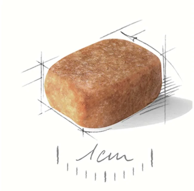 Сухой корм Royal Canin Chihuahua Adult для чихуахуа, 1.5 кг