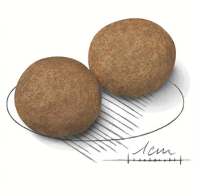 Сухий корм Royal Canin Medium Adult для собак середніх порід, 1 кг