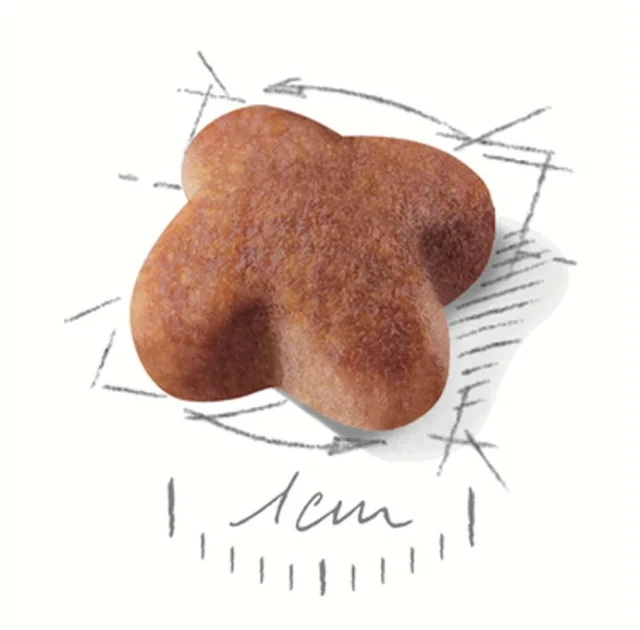 Сухий корм Royal Canin Jack Russell Terrier Adult для джек рассел тер'єра, 1.5 кг