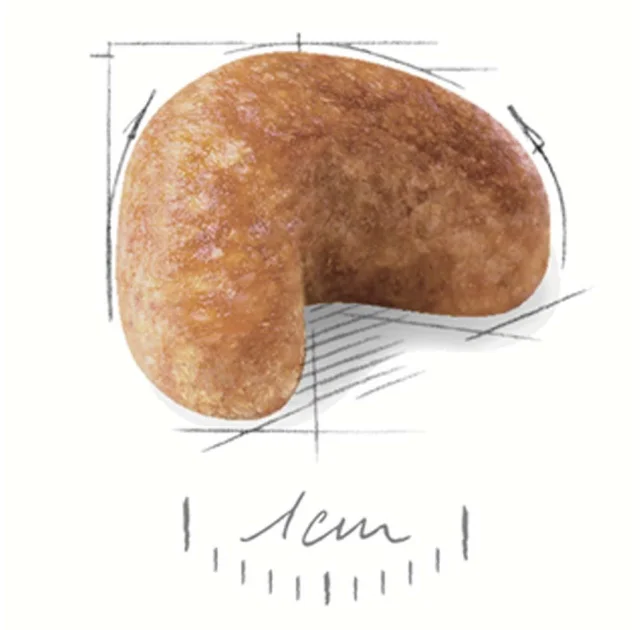 Сухой корм Royal Canin Cocker Adult для кокер-спаниеля, 3 кг