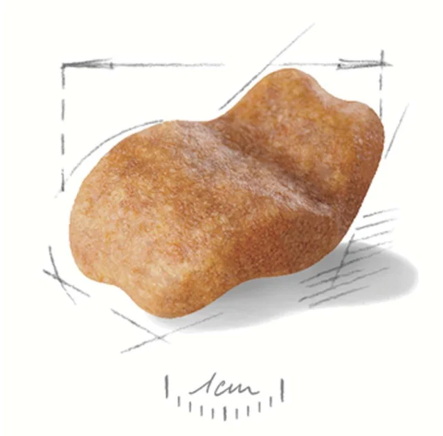 Сухий корм Royal Canin Bulldog Adult для бульдогів, 12 кг