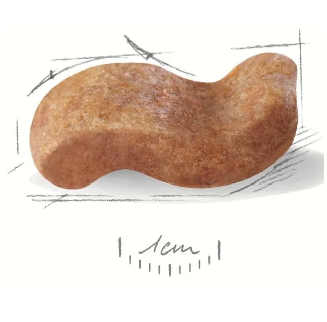 Сухий корм Royal Canin Boxer Adult для боксерів, 12 кг