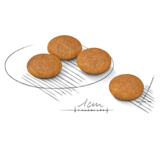 Сухий корм Royal Canin Mini Dermacomfort для собак дрібних порід з чутливою шкірою, 1 кг