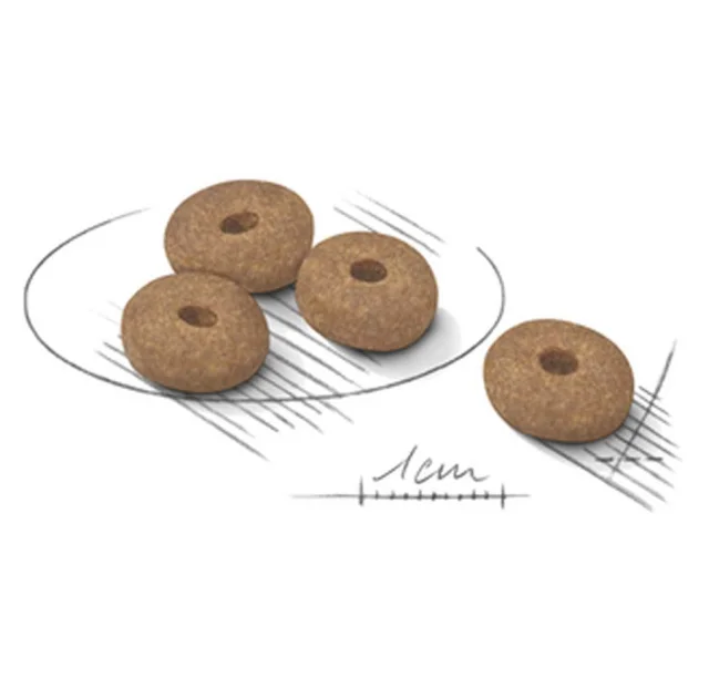 Сухий корм Royal Canin Mini Light Weight Care для собак дрібних порід із зайвою вагою вагою, 1 кг