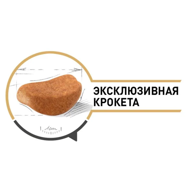 Сухий корм Royal Canin Rottweiler Adult для ротвейлера, 12 кг