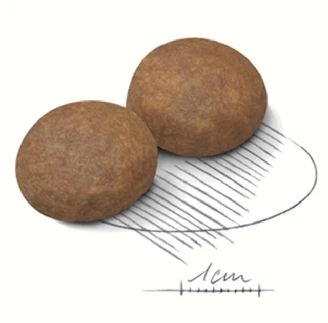 Сухий корм Royal Canin Maxi Adult 5+ для собак великих порід старше 5 років, 4 кг