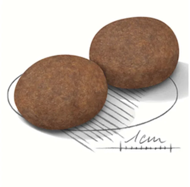 Сухий корм Royal Canin Medium Adult 7 + для собак середніх порід старше 7 років, 15 кг