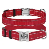 Нашийник нейлоновий BronzeDog Active для собак, з світловідображення, 25 мм / 43-66 см, червоний, 38т