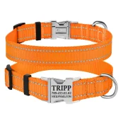 Нашийник нейлоновий BronzeDog Active для собак, з світловідображення, 20 мм / 30-40 см, помаранчевий, 33т