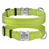 Нашийник нейлоновий BronzeDog Active для собак, з світловідображення, 20 мм / 30-40 см, салатовий, 33т