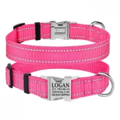 Нашийник нейлоновий BronzeDog Active для собак, з світловідображення, 20 мм / 30-40 см, рожевий, 33т